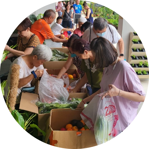 Participate in Food Rescue and Distribution Days